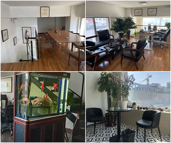 青岛辰星辰网l科技有限公司